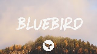 Bluebird Music Video