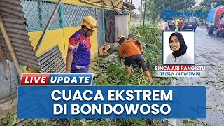 Bondowoso Dilanda Cuaca Ekstrem, Tanah Longsor dan Pohon Tumbang Menghambat Aktivitas Warga