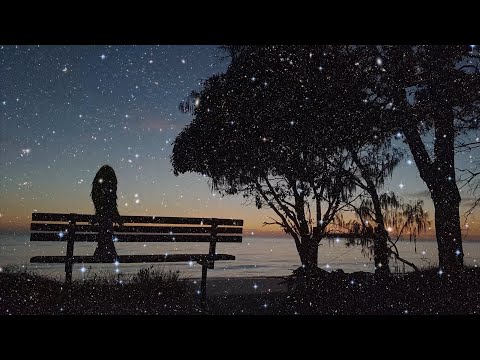 Take Your Light (Fly High)  Feat Grimes AI