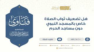 هل تضعيف ثواب الصلاة خاص بالمسجد النبوي دون مساجد الحرم - للشيخ عبدالرحمن البراك (9481) image