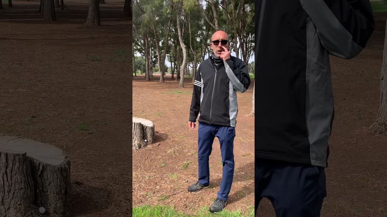 Reglas 17, bola injugable