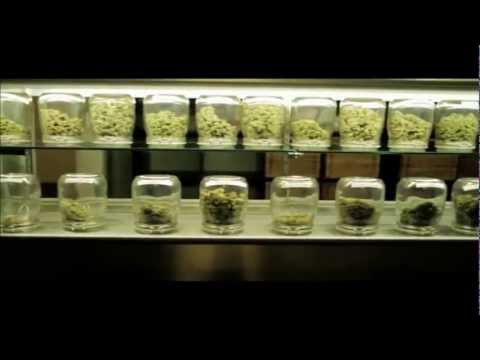 Nu Jerzey Devil (Feat. Craze Colon   Street Kash) - Kush Burners