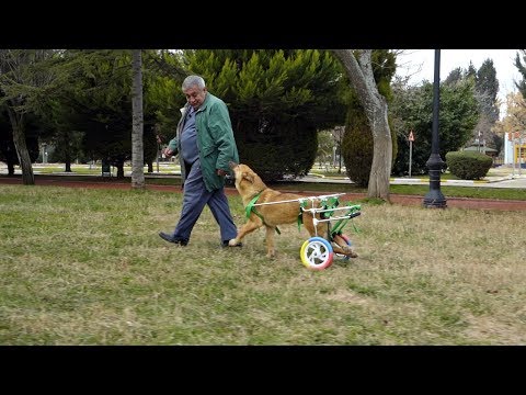 Bade, tekrar koşup oynuyor! - Hayat Tamircisi 4. Bölüm