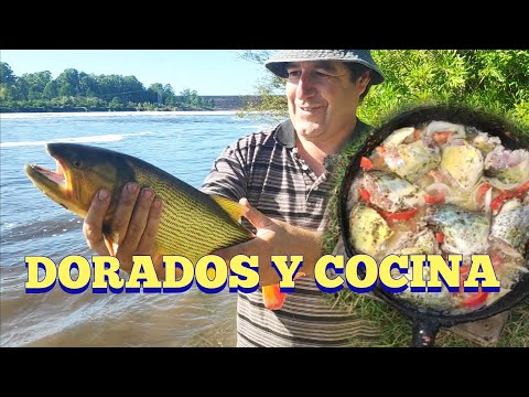 Encontramos el dorado en la represa de Palmar en Pesca en agua dulce