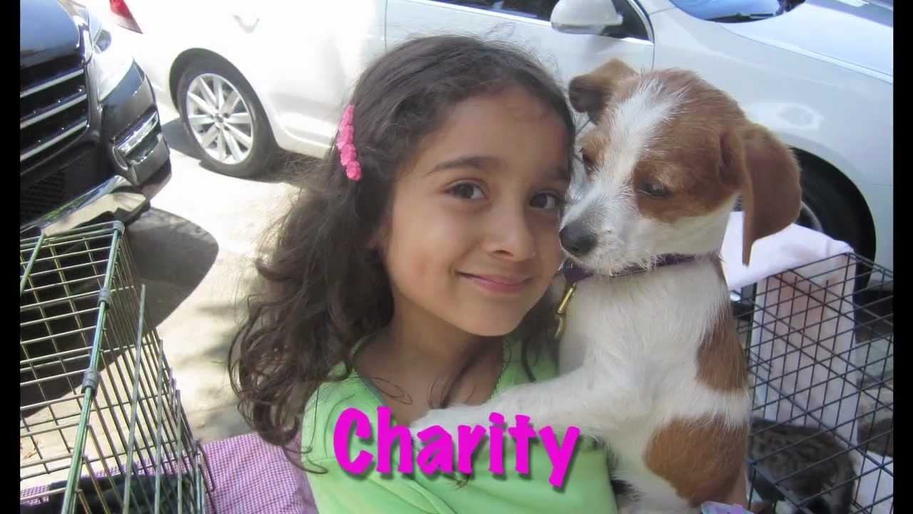 Homeless to Harmony:  L.A. Pet Rescue - Episode 1