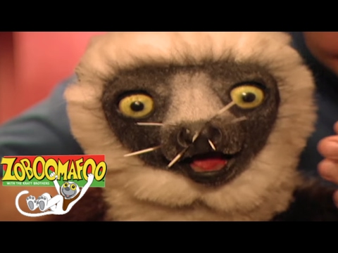 Zoboomafoo 118 - Feeling Good | HD | Full Episode