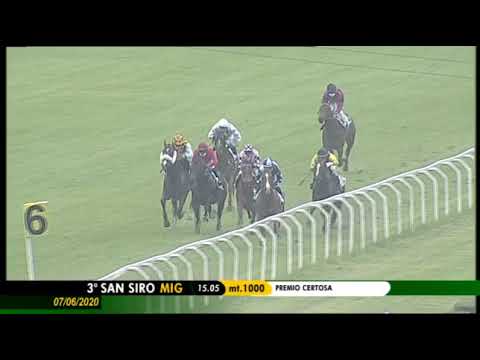 2020.06.07 Premio Certosa (ITA) - The Conqueror