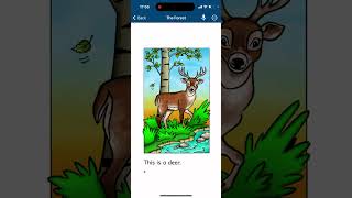 Razkid - Level A - The forest | English reading for kids