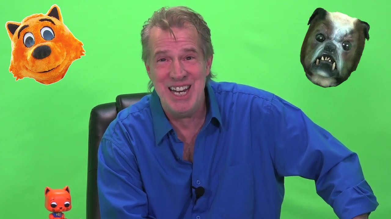 Cool Cat Stops a School Shooting