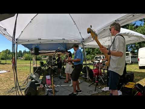Soulfunktion ✦ Seven Nation Army (Private Picnic Performance, Federal Way)