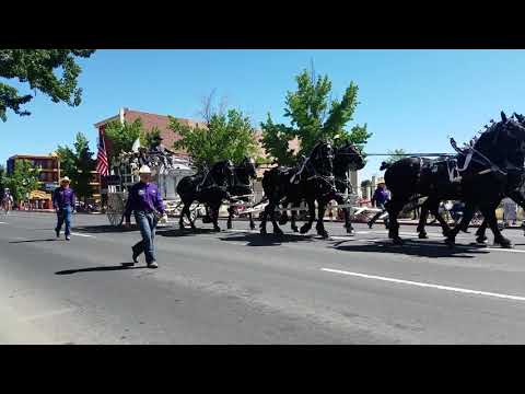 2019 Reno Rodeo Parade