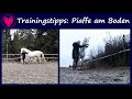 Trainingstipps Wie Bringe Ich Meinem Pferd Die Piaffe Vom Boden Aus Bei Piaffieren An Der Hand