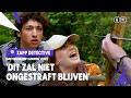 IS DIT DE SABOTEUR?! ? | Zapp Detective | #7 Survivalkamp Summer Vibes | NPO Zapp