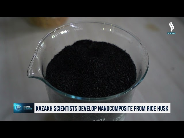 Казахстанские учёные разработали нанокомпозит из рисовой шелухи