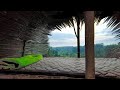 Solo bushcraft survival camping in forest, 7 day building shelter in forest