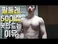 팔둘레 50이상 못만드는이유