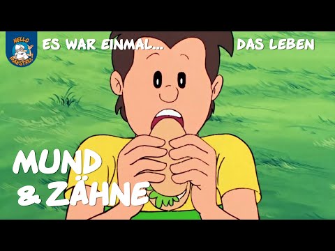 Mund & Zähne (Es war einmal... das Leben | Ausschnitt)