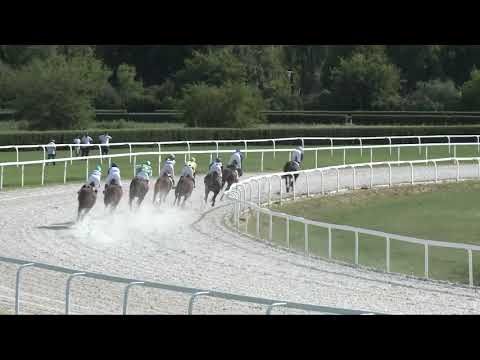 2017.08.20. 4. futam - AMATŐRVERSENY HENDIKEP (V/b.) (szintetikus pálya)