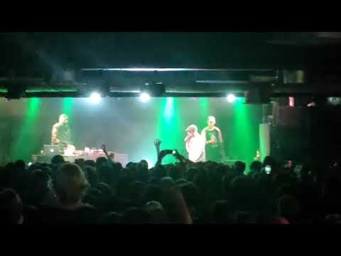 SEBOL - GNOCCHI (FRAGMENT) | KONCERT BELMONDO