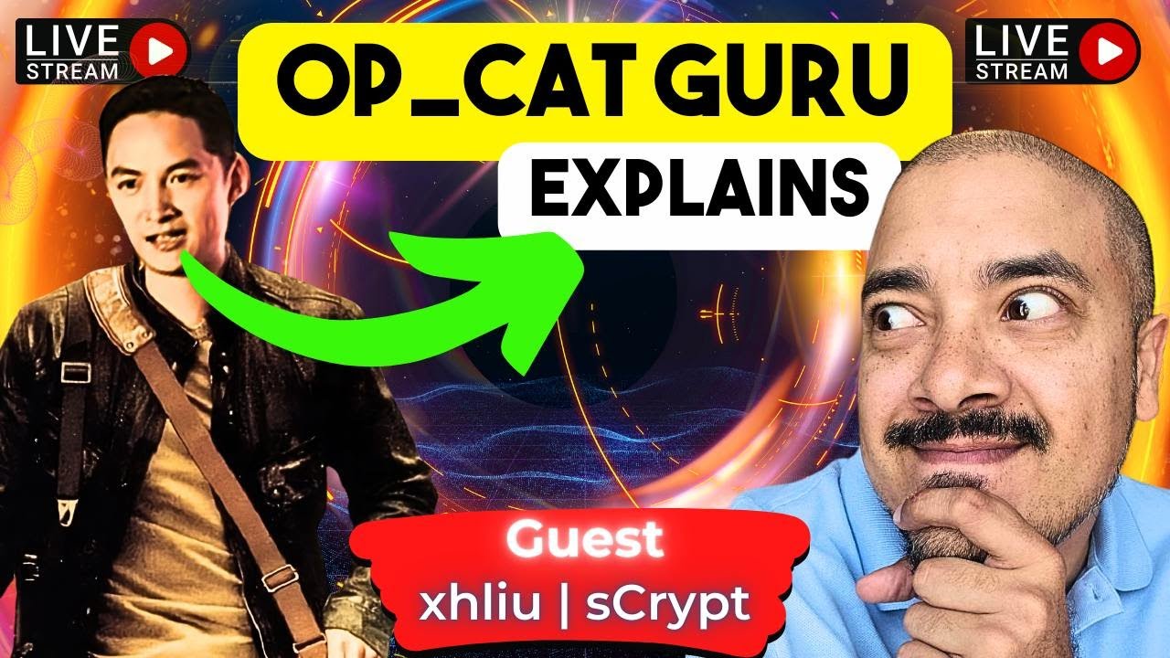 😾Is OP_CAT Bullish or Bearish for Bitcoin? Expert explains!