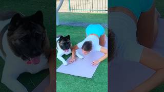 Trying to Exercise… But My Dog Has Other Plans 😂 #dogfunny #fitnessfail #doglife #shortsfunny #fyp