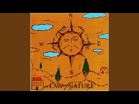 Noise in the Hallway - Law of Nature