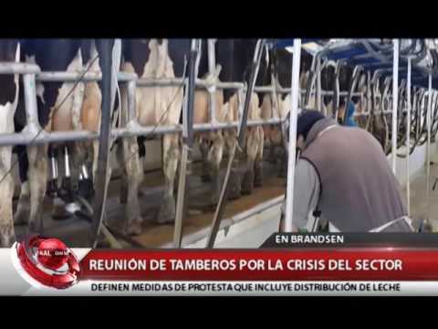 BRANDSEN: TAMBEROS EN ALERTA POR LA CRISIS
