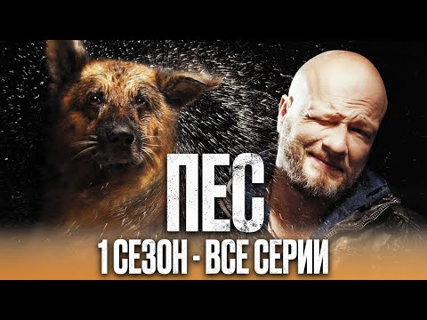 Сериал ПЕС – ПОЛНЫЙ 1 сезон – ВСЕ СЕРИИ ПОДРЯД (1 – 20) | Сериалы ICTV