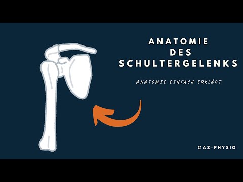 Anatomie des Schultergelenks - Steckbrief
