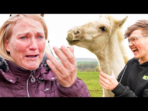Ich SCHENKE meiner MAMA ein PFERD!