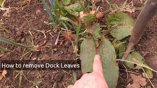 How to remove dock by the root