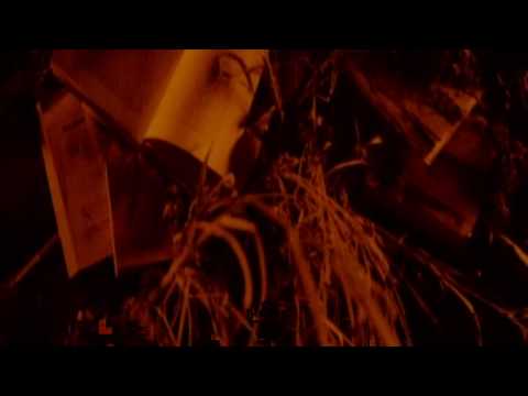 Sherilyn Fenn - Osmeh (1997) [HD]