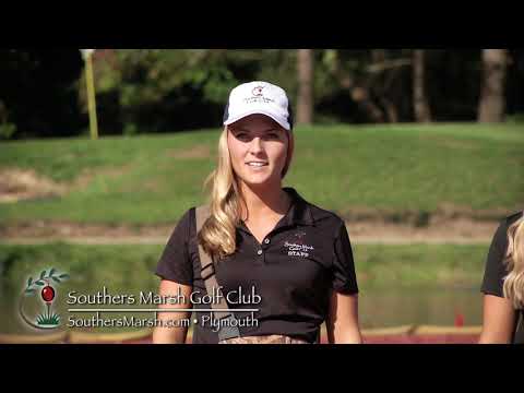 Southers Marsh Aesthetics Ad