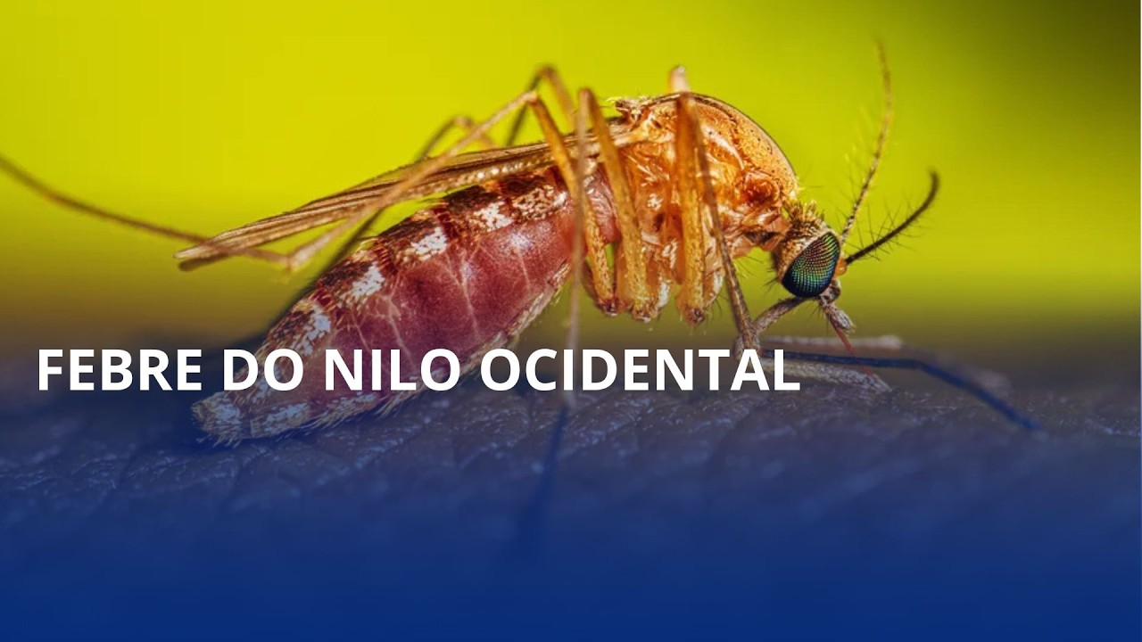 SC confirma primeira morte por infecção viral pela febre do Nilo Ocidental