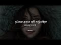 Dawasaka Aye Api Hamuwela Slowed Reverb Slowedandreverb Sudeeradilshan Srilanka