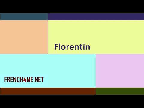French For Beginners  I  How to pronounce  I Florentin