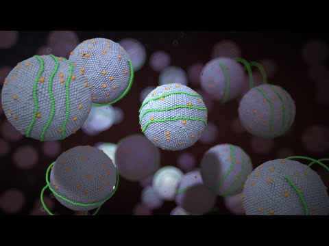 High Cholesterol-Nucleus Medical Media