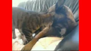 Love is place I dream of