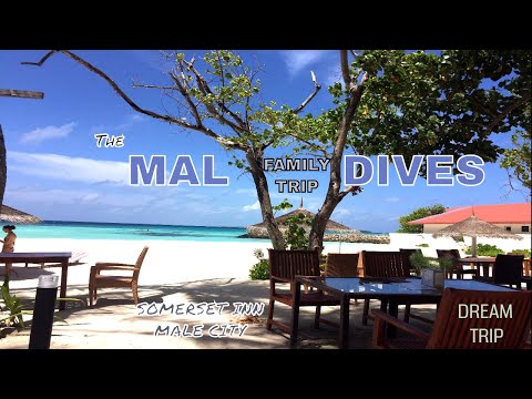 Malediven (Maldives) Family Trip | best budget hotel 💓 Somerset Inn, Male 💓Travel Vlog  ✈🏖💦