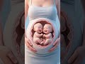 #prengancy #babybum #fetus #embarrassing #embryo #weekspregnant #fyp