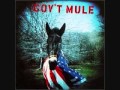 Govt Mule- Frozen Fear