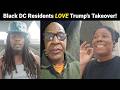 20 Minutes Of Black DC Residents Supporting Trump S Federal Takeover