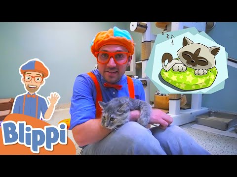 Learning Animals With Blippi + More Blippi Videos For Kids | Educational Videos For Kids