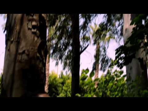 Dj Pirana  Adana Diss-To Baran Rap Hayalcash isyanqar26  Yeniii -2016