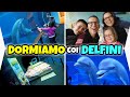 ANDIAMO A DORMIRE COI DELFINI All Acquario Di Genova