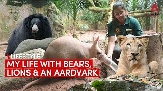 Download lagu My life as a Night Safari zookeeper with lions, bears and a cute aardvark mp3