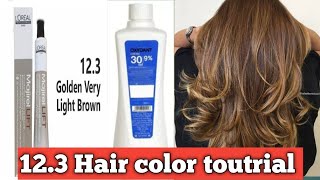 12.3 Majirel colour full prectical video.how to  loreal majirel hair  colour toutrial