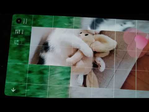 Pepper er jobber i en annen ting