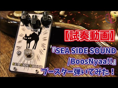 SEA SIDE SOUND BoosNyaa image 8
