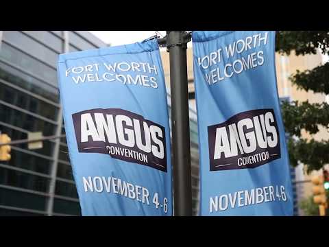 The Angus Report, March 26, 2018: 135th Convention of Delegates